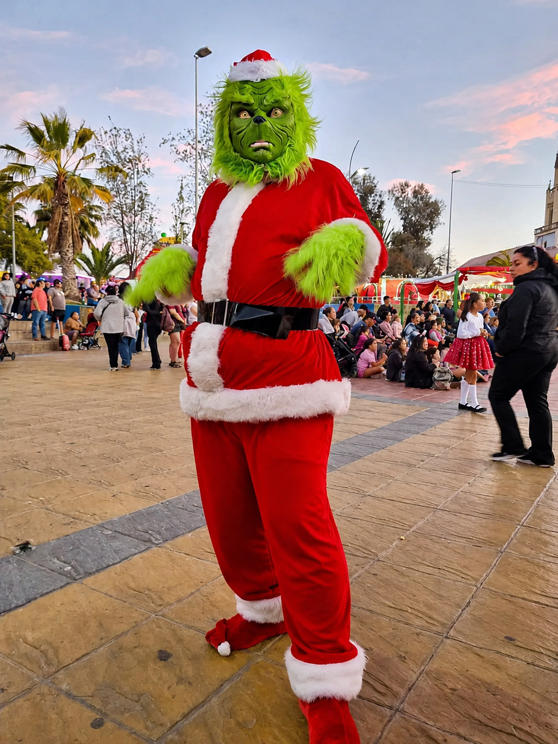 El Grinch 
