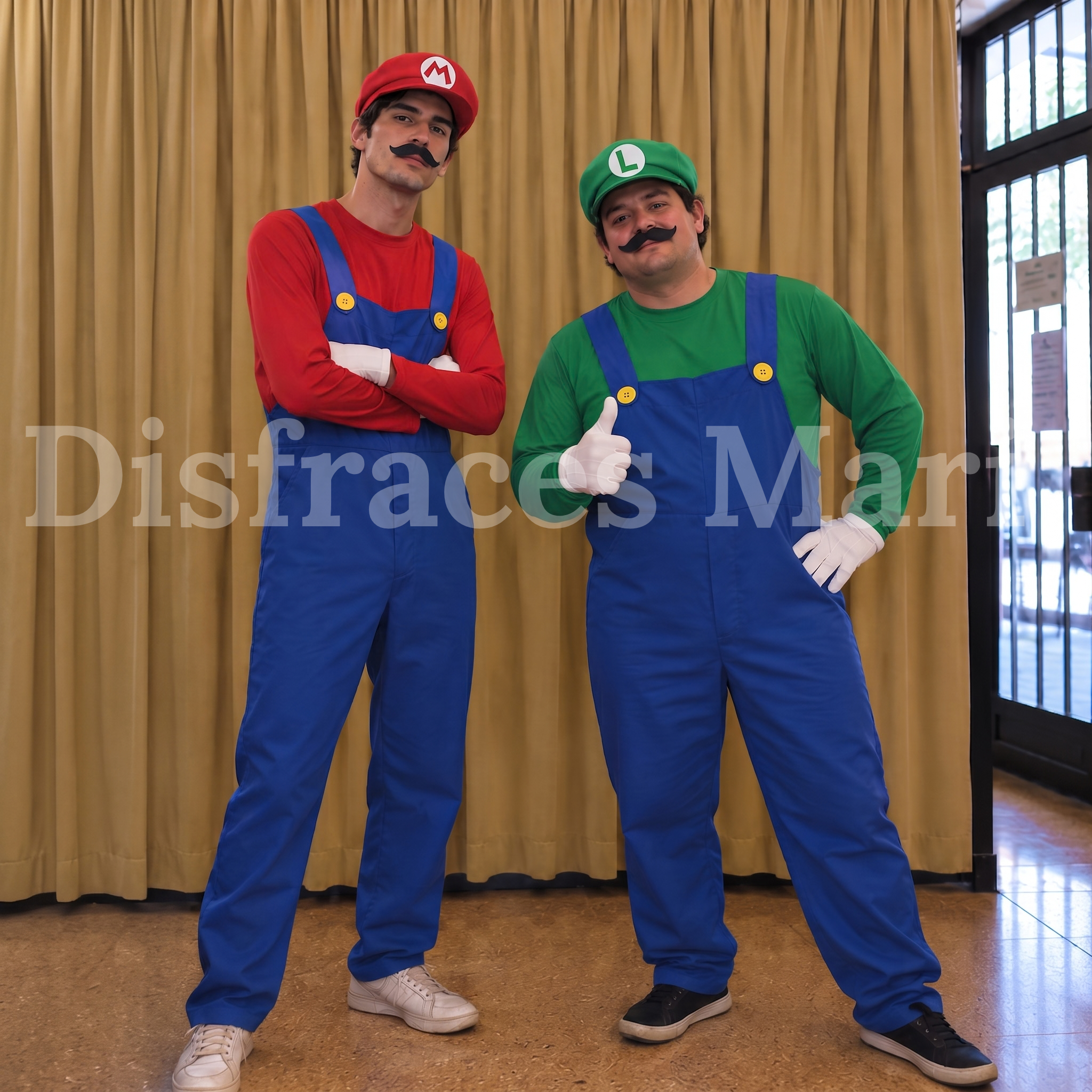 Mario y Luigi Bros